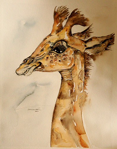 study of giraffe baby