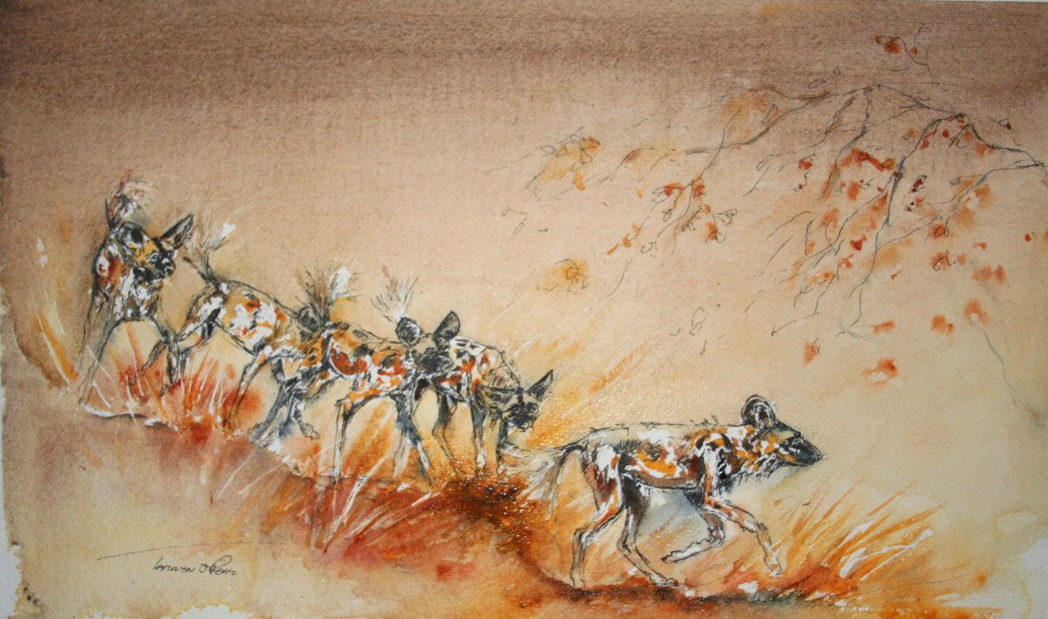 Painted hunting dogs